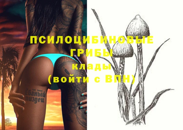 марки nbome Верея