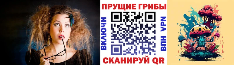 Купить где  Моздок  Галлюциногенные грибы Cubensis 